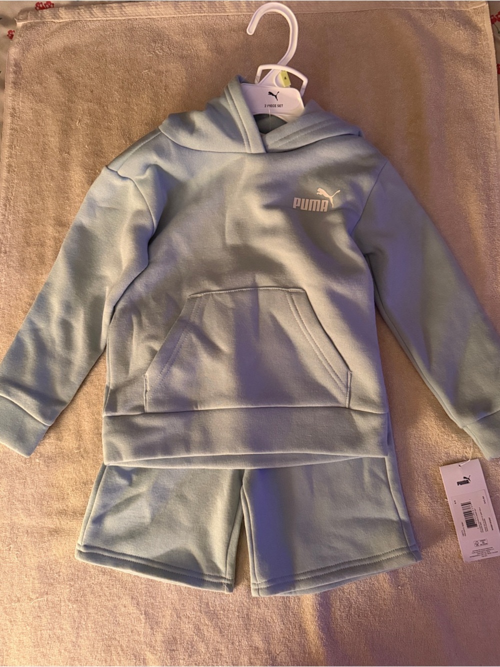 Puma Kids Mint Green Hoodie and Shorts Set